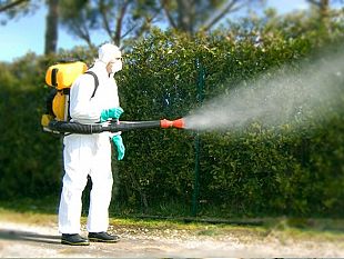 interventi-di-disinfestazione-ambientale-a-marsala