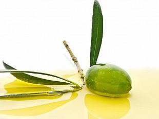 agricoltura-cracolici-olio-igp-sicilia-diventa-un-marchio-europeo-gia-1000-istanze-presentate