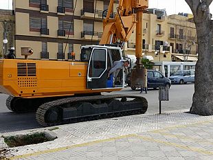 lavori-per-la-sostituzione-dei-ceppi-essiccati-nel-lungomare-mazzini