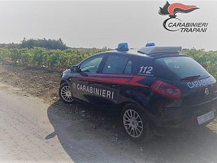 marsala-sorpresi-dai-carabinieri-a-rubare-uva-in-un-terreno-un-arresto-e-tre-denunce