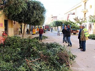 marsala-iniziata-oggi-la-potatura-degli-alberi-che-si-concludera-prima-di-natale-completata-la-diserbatura-sullo-scorrimento-veloce