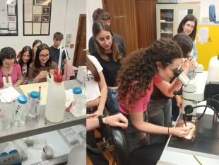 mazara-scienziate-al-futuro-al-liceo-adria-ballatore-la-sfida-agli-stereotipi-di-genere-nelle-stem