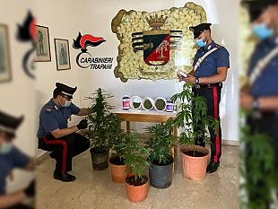 marsala/petrosino-coltivazione-di-cannabis-arrestato-dai-carabinieri
