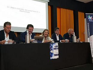 mazara/la-pesca-in-sicilia-un-comparto-che-vale-221-mln-di-euro