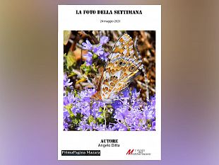 mazara-contest-la-foto-della-settimana-ecco-lo-scatto-vincente57