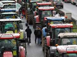 marsala/venerdi-e-sabato-trattori-ed-agricoltori-in-piazza-a-marsala