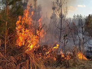 prevenzione-incendi-ordinanza-del-sindaco