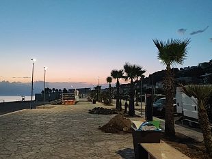 tocco-di-verde-ad-alcamo-marina-piantate-21-palme-alla-battigia-e-in-zona-canalotto
