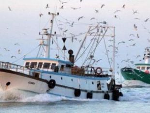 nuovi-incentivi-per-le-imprese-ittiche-siciliane-ecco-come-accedere-ai-fondi