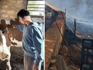 incendio-a-santa-ninfa-14enne-sfida-il-fumo-per-salvare-5-vitelli-dalle-fiamme