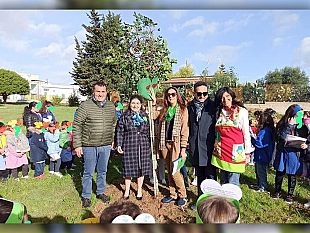mazara-iniziativa-per-giornata-nazionale-degli-alberi