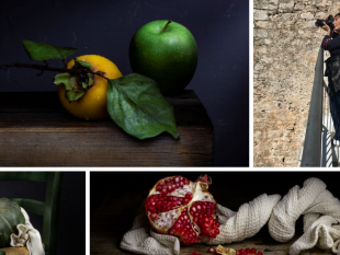 museo-san-rocco-lo-still-life-di-fatima-li-cavoli-inaugurazione-martedi-17-ottobre