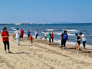 pelosi-in-spiaggia-lodevole-iniziativa-per-gli-amici-a-quattro-zampe