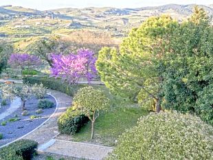 santa-ninfa-il-28-settembre-giornata-dedicata-alla-riflessione-e-preghiera