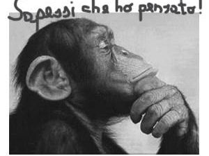 il-culto-dei-morti-e-la-delusione