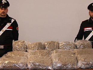 trasportava-14-kg-di-marijuana-un-25enne-arrestato-dai-carabinieri