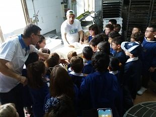 avviate-con-successo-le-attivita-del-progetto-erasmus-alli-c-lombardo-radice-pappalardo-2