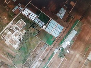 rinvenuto-cadavere-fra-mazara-e-marsala-un-legame-con-il-sequestro-della-mega-piantagione-di-marijuana