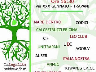 l-udi-trapani-riunisce-le-associazioni-del-territorio-per-riqualificare-l-aiuola-del-tribunale-di-trapani