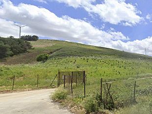 la-giunta-li-vigni-approva-la-bonifica-della-discarica-di-cda-giglio