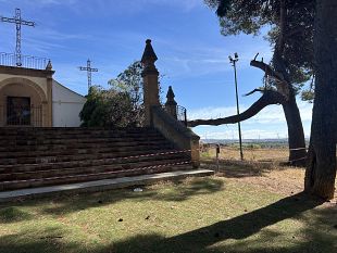 cade-un-ramo-allinterno-del-parco-delle-rimembranze