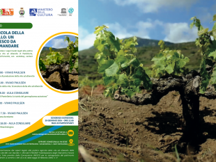 pantelleria-al-via-le-iscrizioni-al-laboratorio-per-conoscere-e-approfondire-pratica-agricola-della-vite-ad-alberello