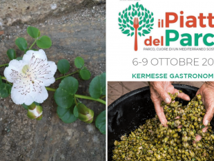 pantelleria-coltiviamo-il-parco-kermesse-gastronomica-fra-gli-chef-dellisola