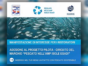 un-progetto-pilota-per-il-marchio-del-pescato-nellamp-isole-egadi