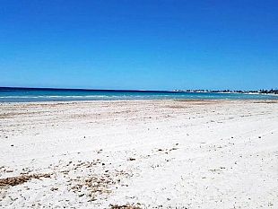 disinfestazione-dalle-23-di-stasera-fino-allalba-nei-tratti-di-spiaggia-libera