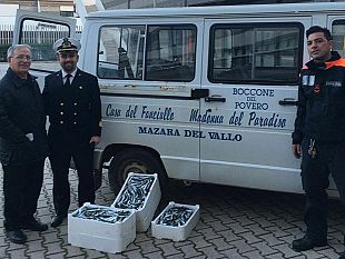 mazara-in-beneficienza-oltre-30-kg-di-pesce-azzurro-sequestrato