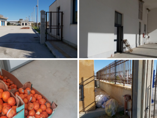 video-mazara-discutibili-condizioni-di-sicurezza-e-igienico-sanitarie-nel-futuro-mercato-agroalimentare