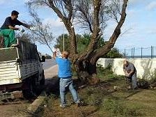 marsala-verde-pubblico-in-corso-gli-interventi-nel-centro-urbano