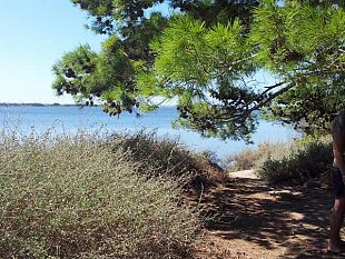 marsala-l-isola-delle-cicale-il-viaggio-di-tago