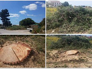 lettera-aperta-di-un-cittadino-libero-ancora-una-volta-mi-sento-impotente