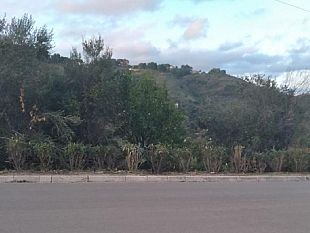 il-verde-pubblico-di-salemi-si-rifa-il-look