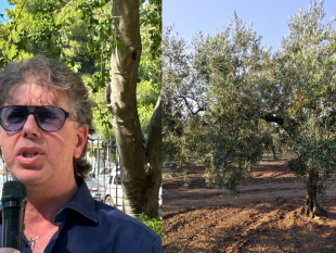 campobello-dal-24-luglio-gli-agricoltorei-possono-prenotare-lacqua-per-lirrigazione