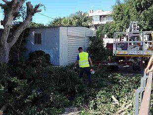 mazara-lavori-di-pulizia-scerbatura-e-potatura-degli-alberi-in-zona-via-siculo-diodoro
