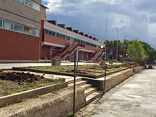 mozione-del-consigliere-randazzo-su-norme-in-materia-di-promozione-e-tutela-dellattivita-fisico-motoria-e-sportiva