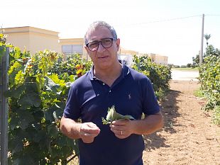 tenuta-gorghi-tondi-intervista-allenologo-tonino-guzzo