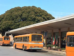 trasporto-urbano-a-marsala