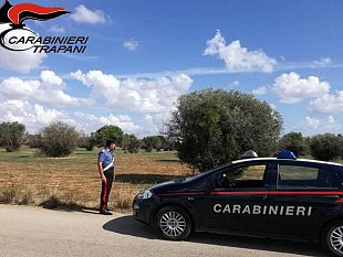 sorpresi-a-rubare-uva-in-un-terreno-due-arrestati-dai-carabinieri