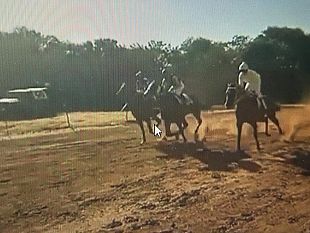 castelvetrano/ippodromo-clandestino-a-triscina-gare-con-cavalli-che-arrivano-da-tutta-la-sicilia