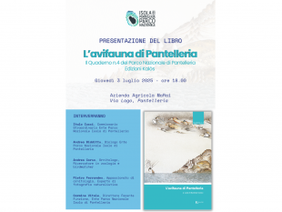 lavifauna-di-pantelleria-il-parco-nazionale-presenta-il-quaderno-n4-dedicato-alla-ricchezza-ornitologica-dellisol