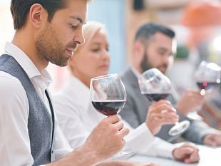 trapani/enogastronomia-891-siciliane-etichette-nella-nuova-guida-ais-77-superano-i-90-punti