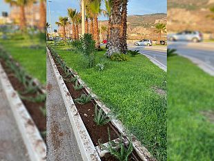 erice-restyling-del-lungomare-e-non-solo