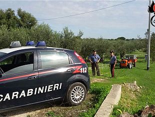 trapani/castellammare-raccoglieva-olive-in-un-terreno-non-di-sua-proprieta-con-6-operai-in-nero
