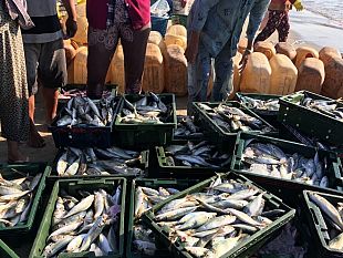 mazara/a-pieno-regime-lattivita-del-progetto-blockchain-mare-nostrum