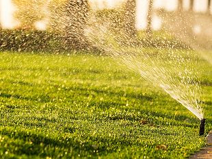 consorzio-di-bonfica-ancora-immobile-e-gli-agricoltori-sono-preoccupati