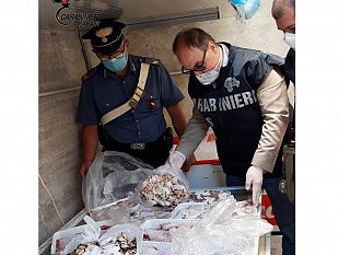 salemi-controlli-congiunti-dei-carabinieri-del-nas-e-nil-1-denuncia-e-sanzioni-per-oltre-16-mila-euro