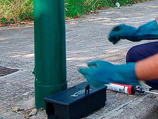 nuovo-turno-di-disinfestazione-alle-egadi